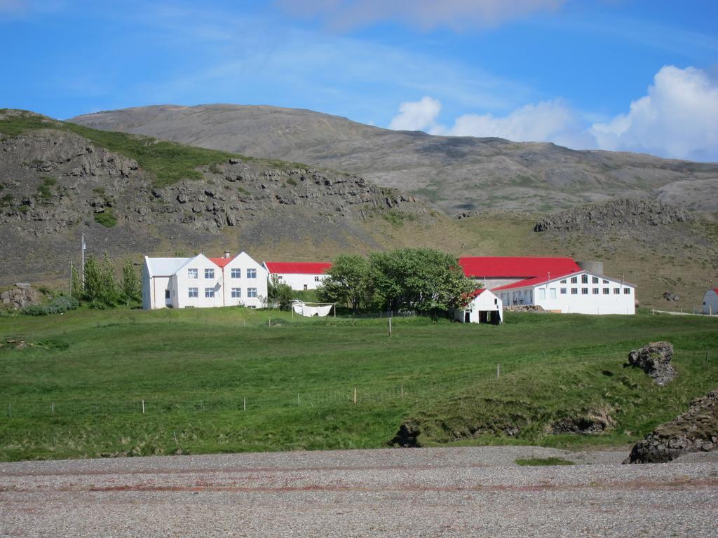 Brekka I Loni Farm Stay Stafafell Exterior foto